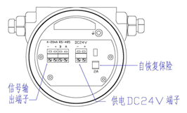 質(zhì)量流量計(圖10)