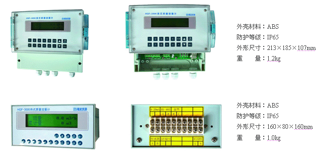 質(zhì)量流量計(圖11)